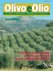 Olivo e Olio Olivo e Olio