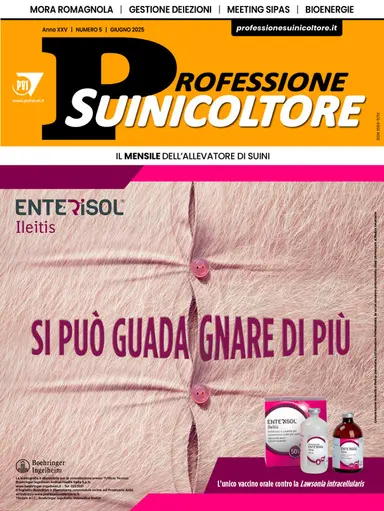 Professione Suinicoltore