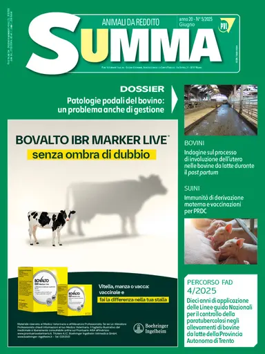 Summa Animali da Reddito